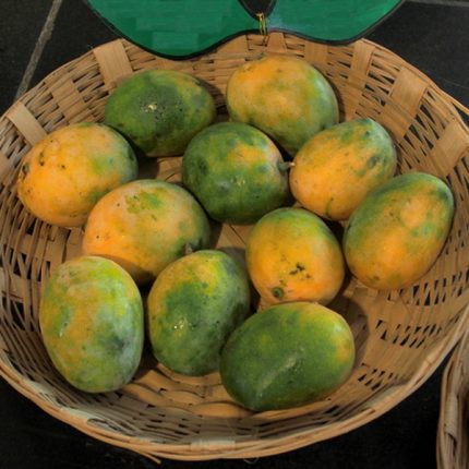 Kalapad +Free Delivery +Free Mango Pickle