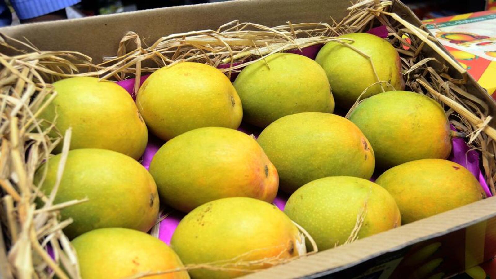 Alphonse +Free Delivery +Free Mango Pickle Thumbnail