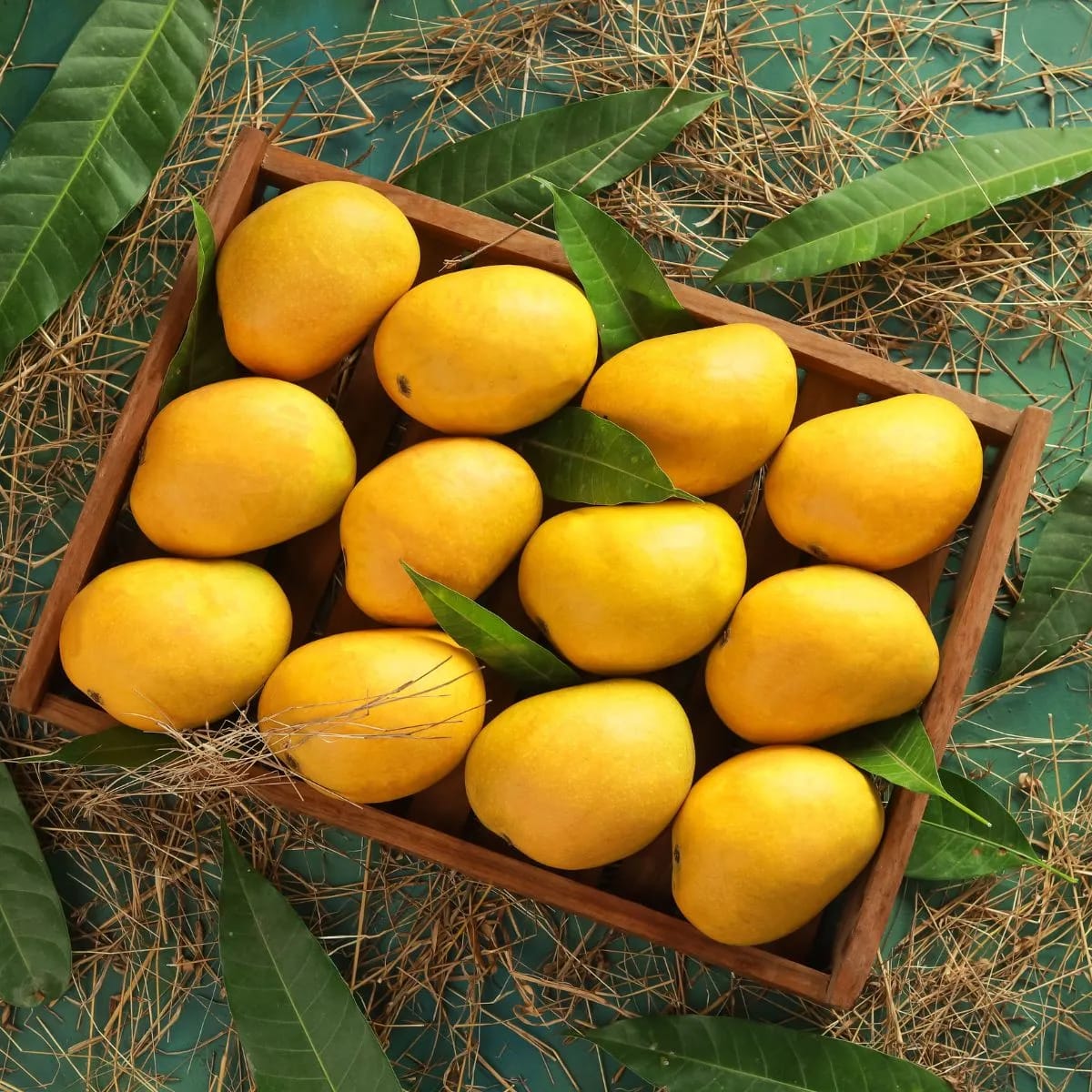 Alphonse +Free Delivery +Free Mango Pickle