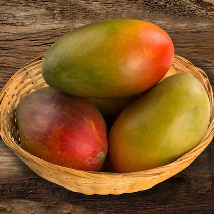 Lalbagh Sindura (Pullura) +Free Delivery +Free Mango Pickle Thumbnail
