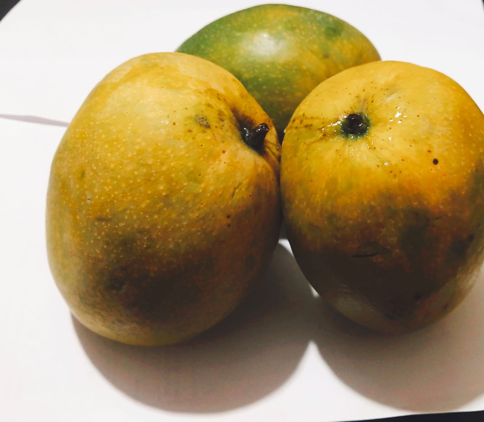Malgova +Free Delivery +Free Mango Pickle Thumbnail