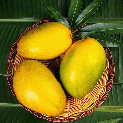 Imam Pasand (Himayath) +Free Delivery +Free Mango Pickle