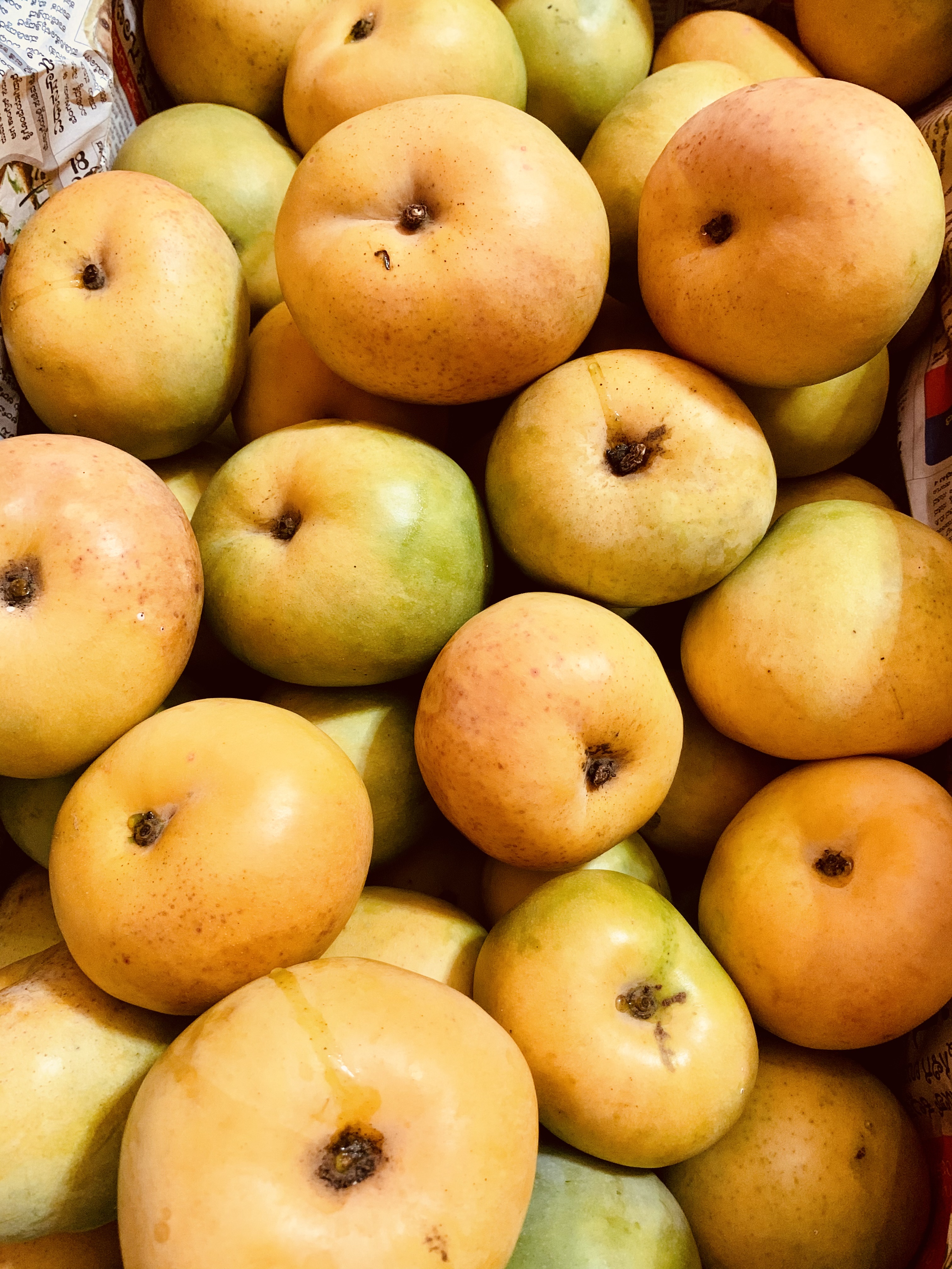 Romani +Free Delivery +Free Mango Pickle