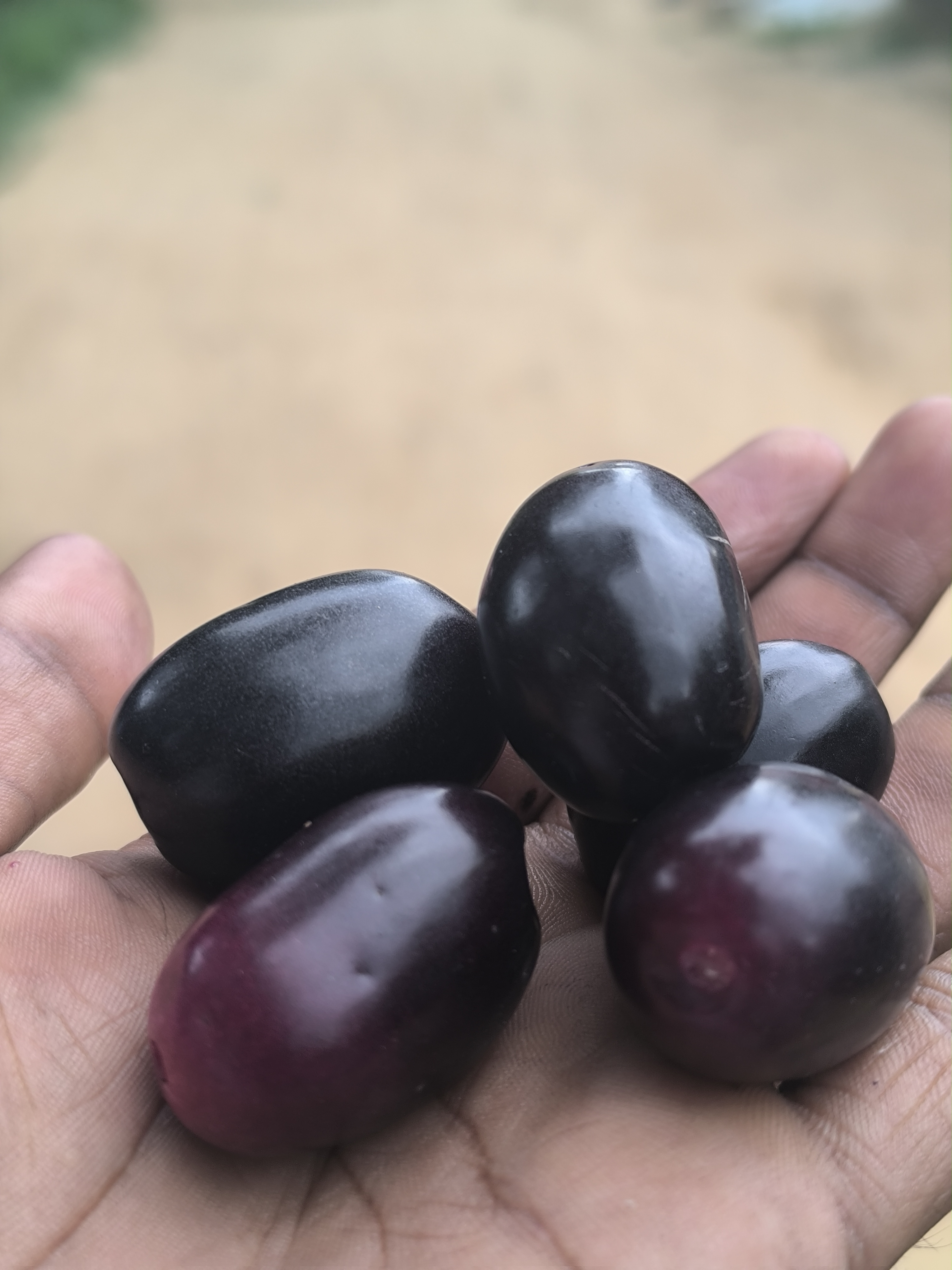 Jam Fruit 