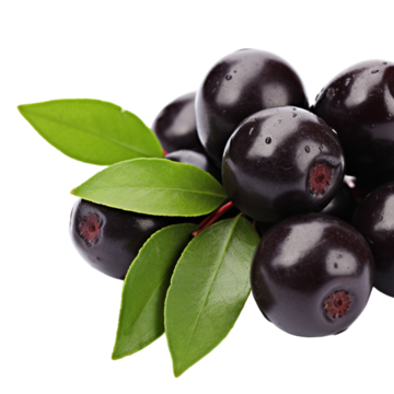 Jam Fruit